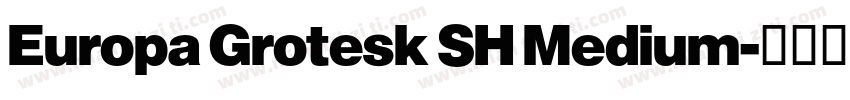 Europa Grotesk SH Medium字体转换